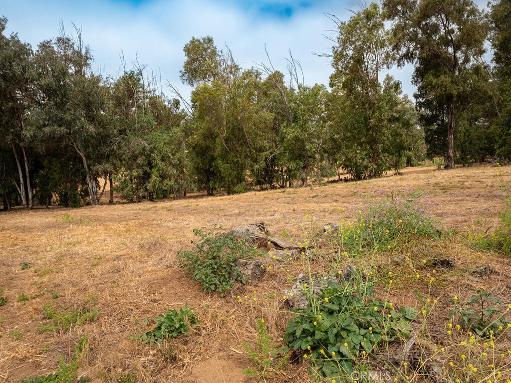 0 Mcdonald Property Photo 15