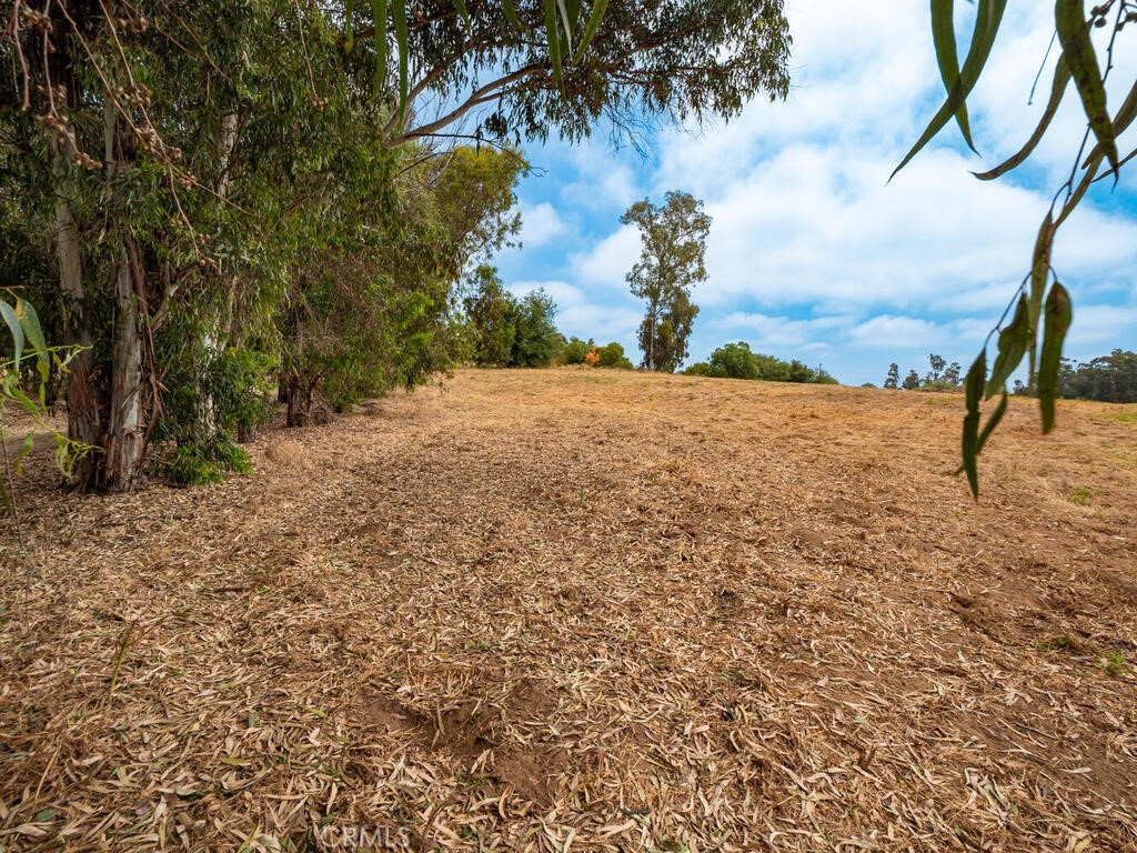 0 Mcdonald Property Photo 17
