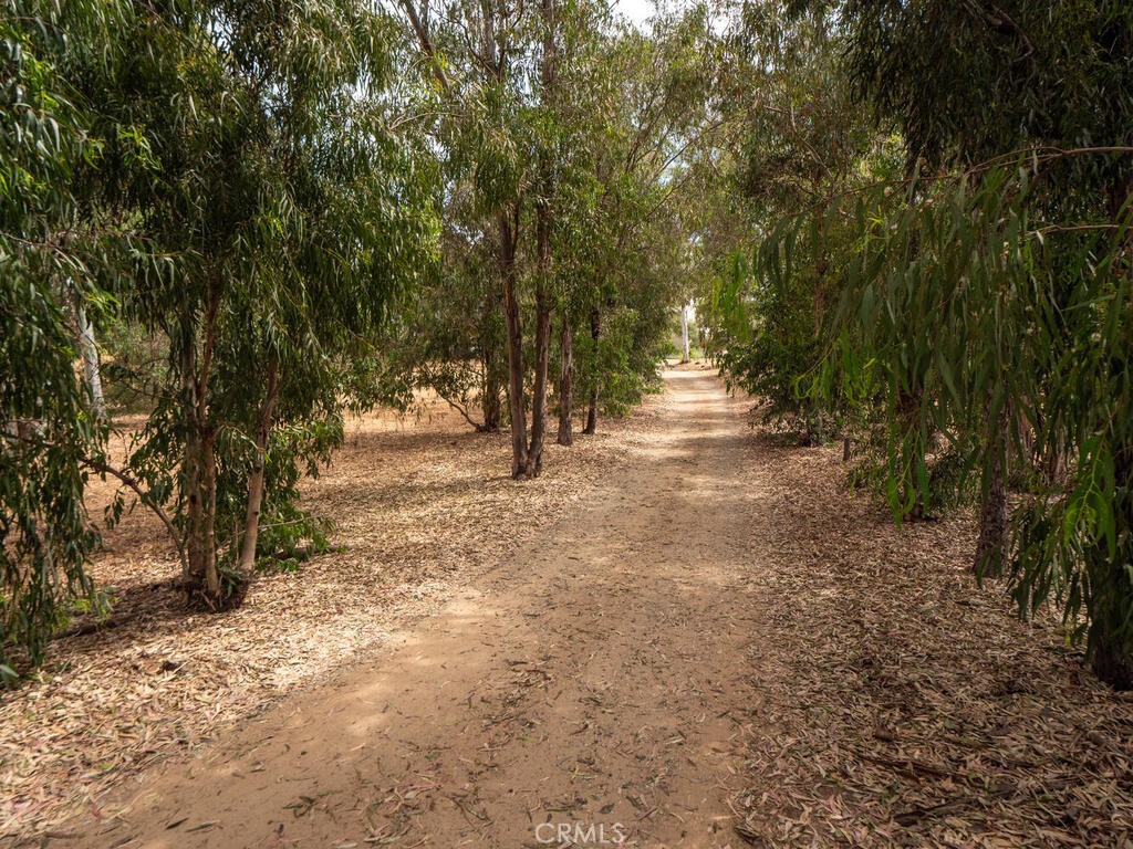 0 Mcdonald Property Photo 18