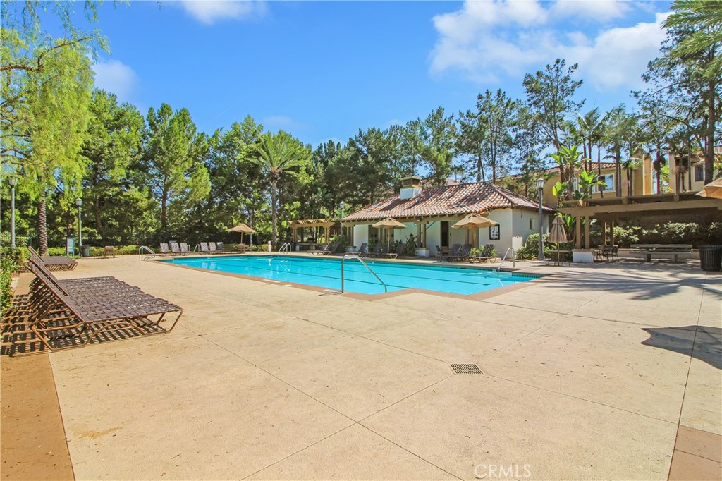 141 Dolores Property Photo 29
