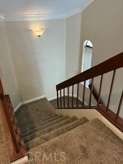 21 Dewberry Property Photo 19