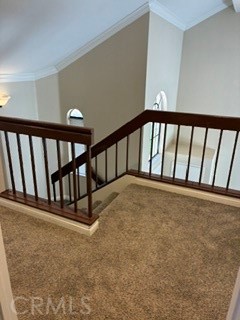 21 Dewberry Property Photo 20