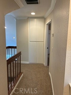 21 Dewberry Property Photo 21
