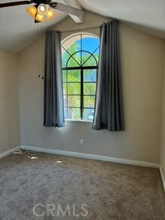 21 Dewberry Property Photo 27
