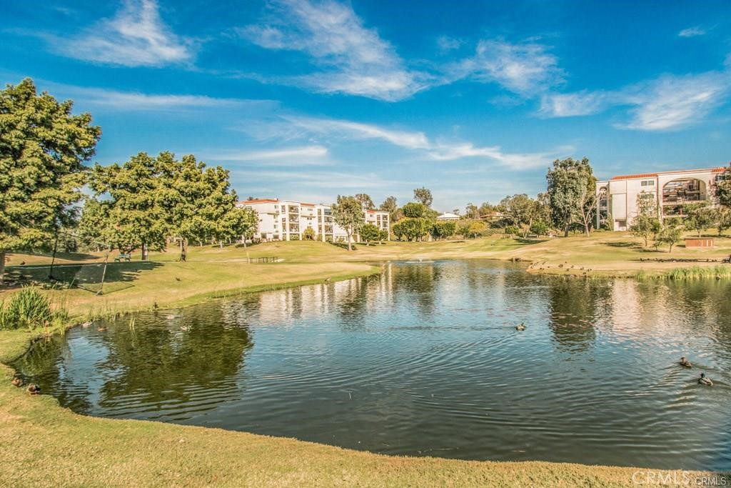 126 Avenida Majorca G Property Photo 46