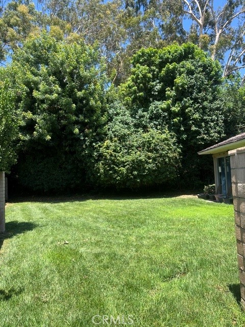 5086 Cinnamon Property Photo 21