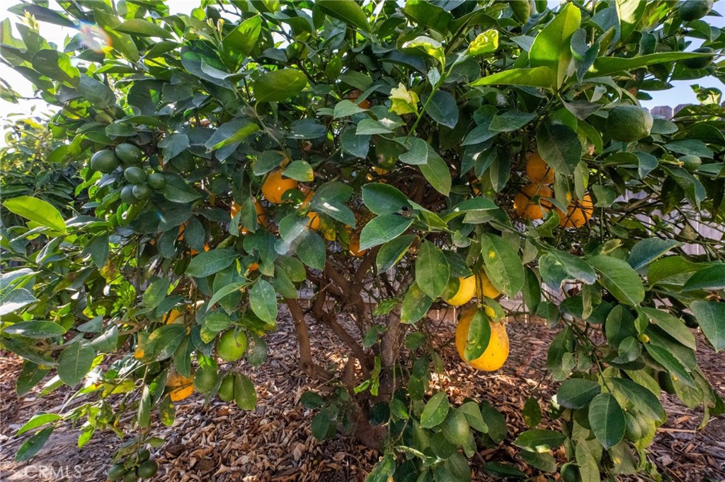 12237 Burgess Property Photo 13
