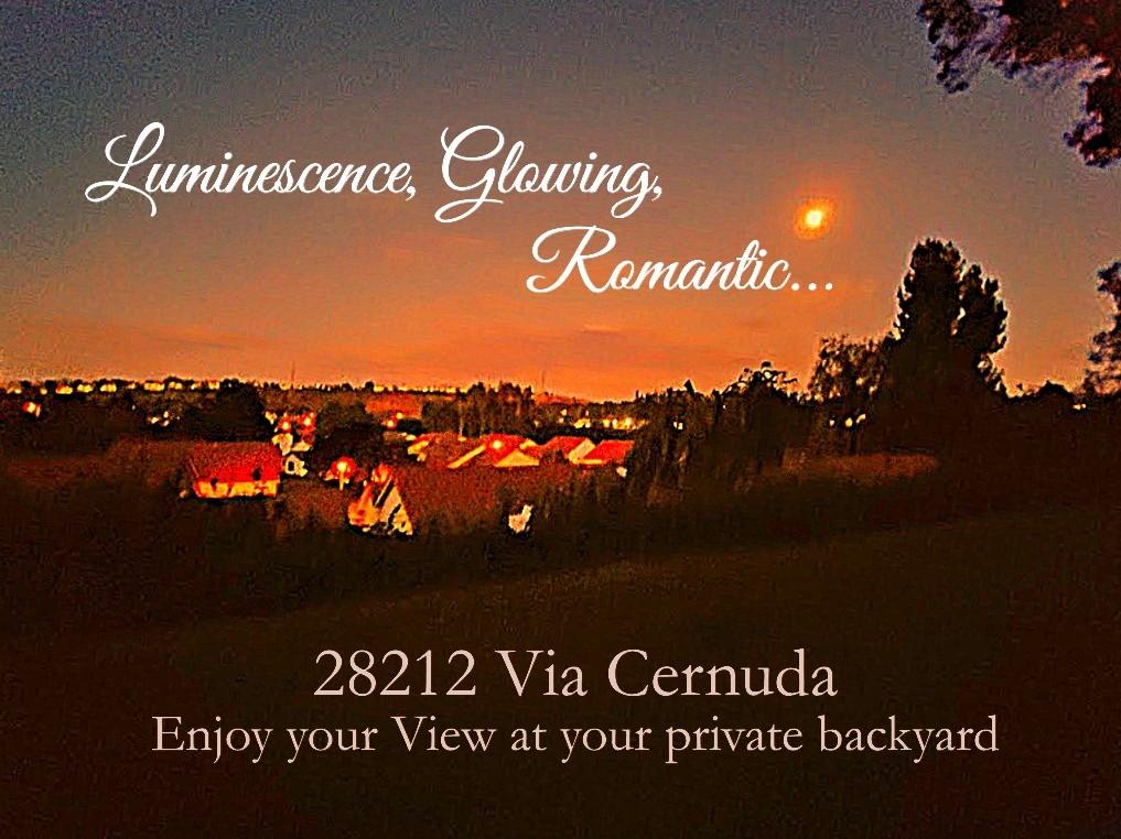 28212 Via Cernuda Property Photo 7