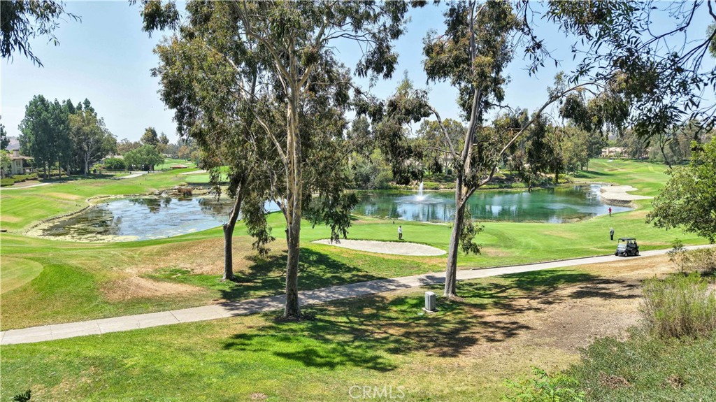 7 Pasto Rico Property Photo 24