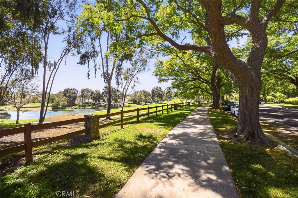 7 Pasto Rico Property Photo 31