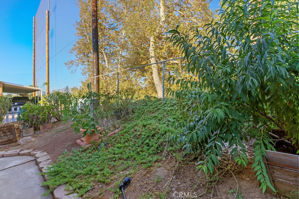24921 Muirlands Boulevard 36 Property Photo 22