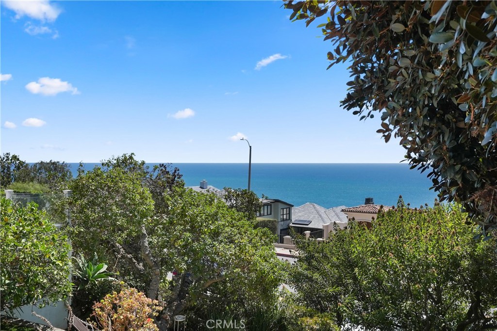 32082 Coast Hwy Property Photo 13
