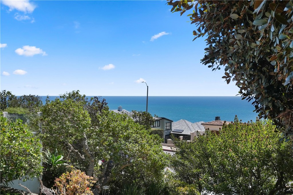 32082 Coast Hwy Property Photo 14