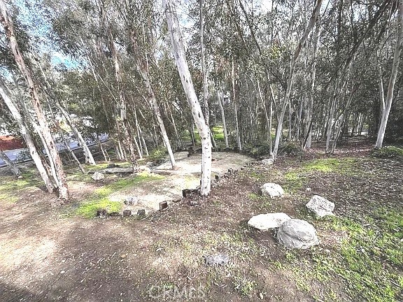 24851 Rollingwood Road Property Photo 25