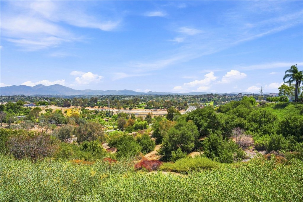 26382 Modena Property Photo 24