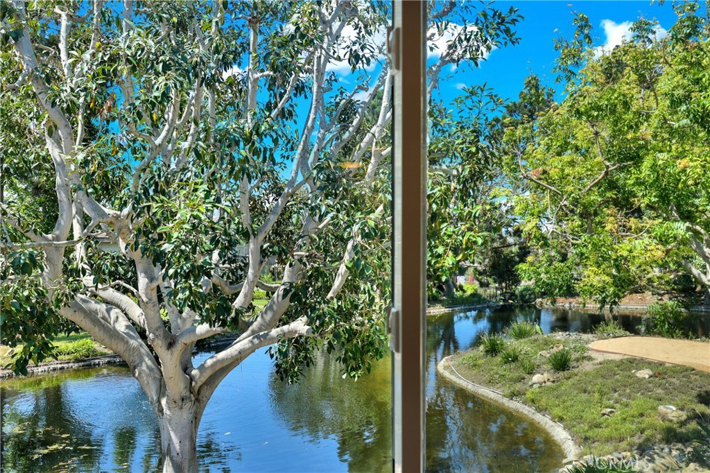 27025 Mill Pond Property Photo 39