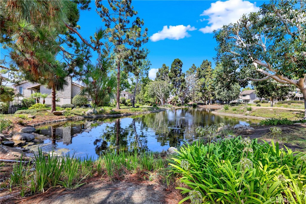 27025 Mill Pond Property Photo 41