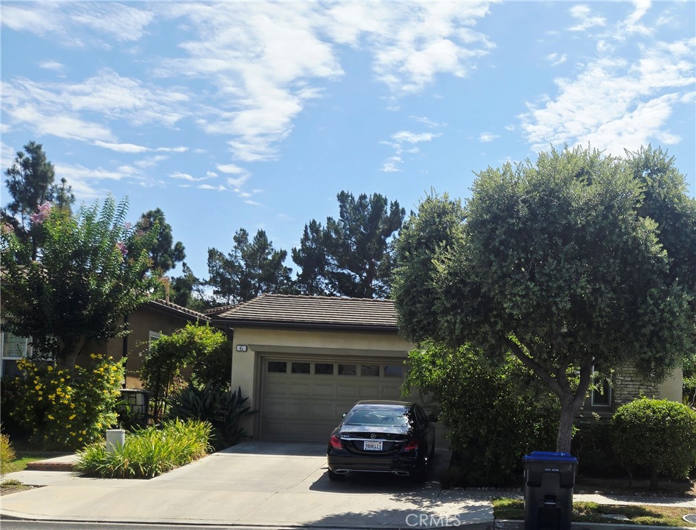 6 Saintsbury