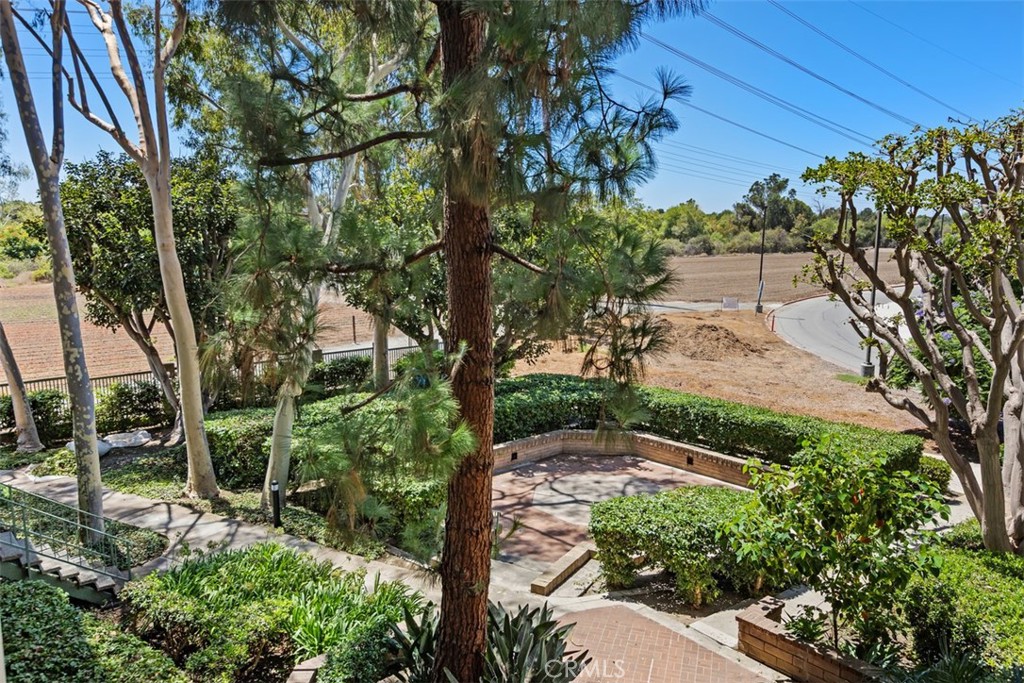 7215 Apricot Property Photo 24