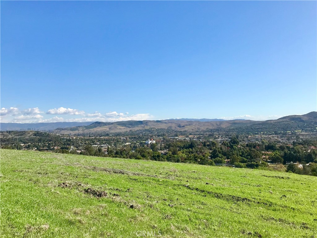 31641 Peppertree Bend Property Photo 10