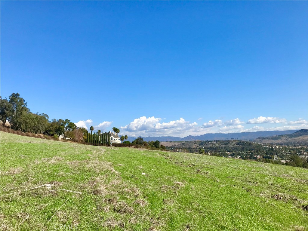 31641 Peppertree Bend Property Photo 11