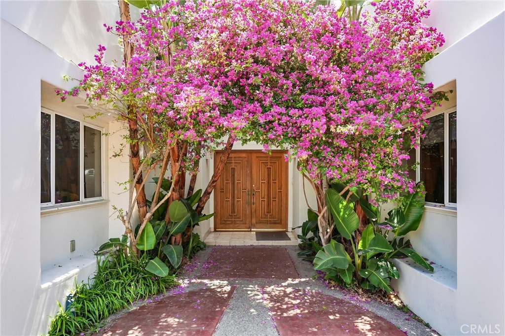 7 Campanilla Property Photo 5