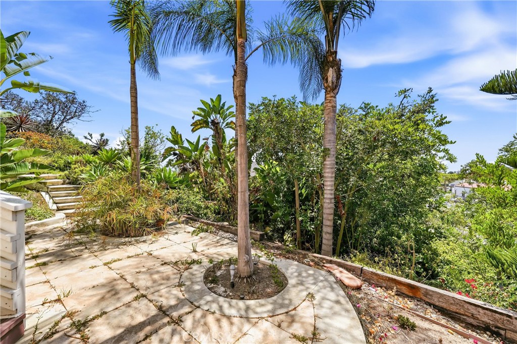 7 Campanilla Property Photo 24