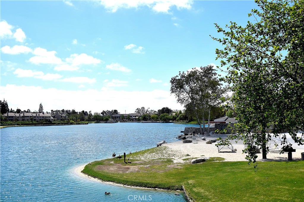 18 Starflower Property Photo 70