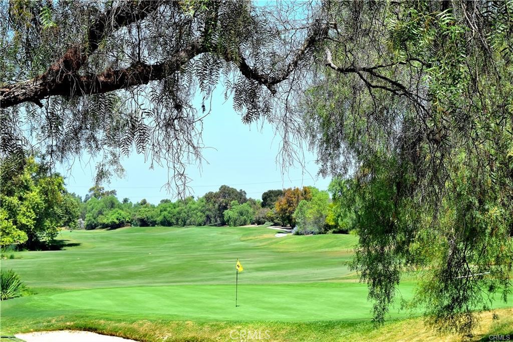 18 Starflower Property Photo 73
