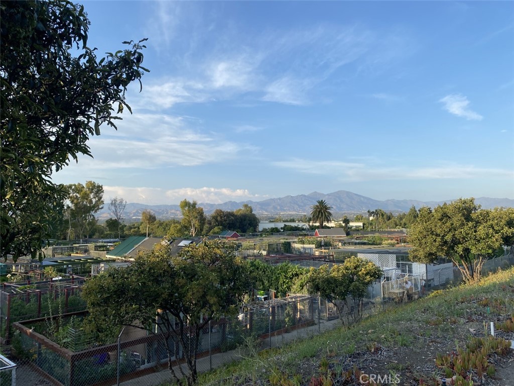 3242 San Amadeo 3f Property Photo 50