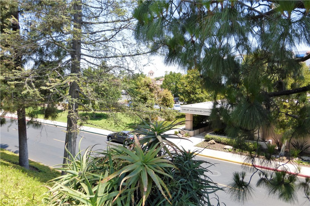 3242 San Amadeo 3f Property Photo 52