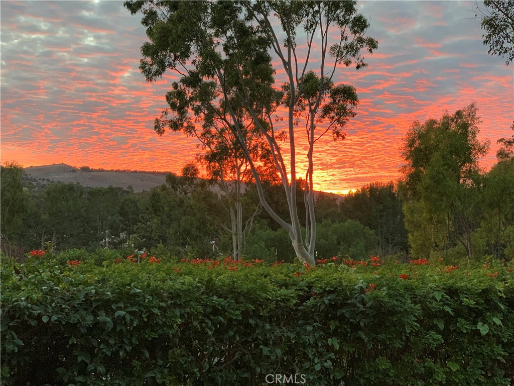40 Morning View Property Photo 50