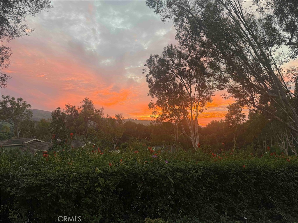 40 Morning View Property Photo 51