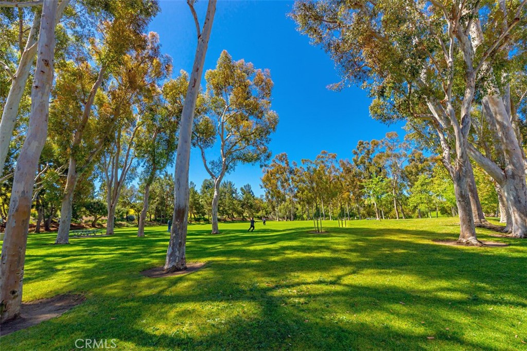 40 Morning View Property Photo 55