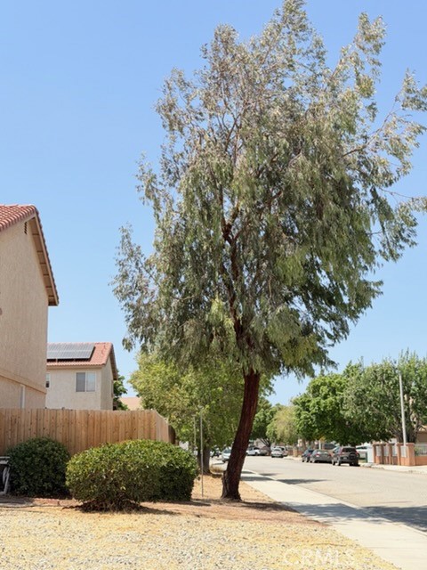 36547 Caleandra Street Property Photo 23