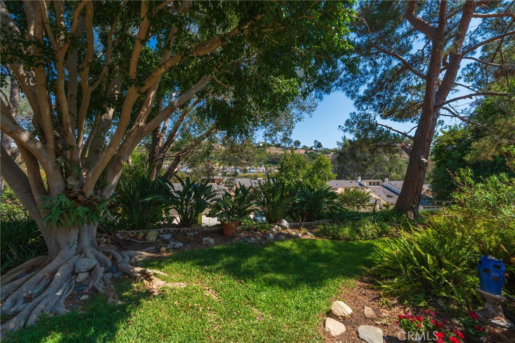 24356 Hillview Property Photo 34