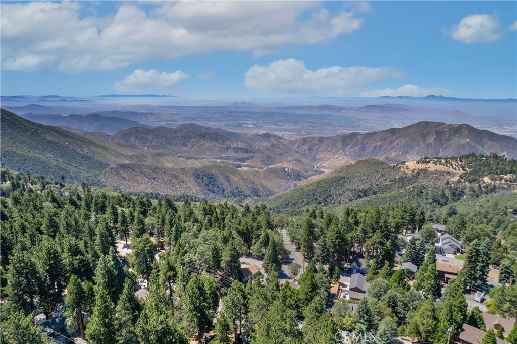 31472 Panorama Drive Property Photo 42