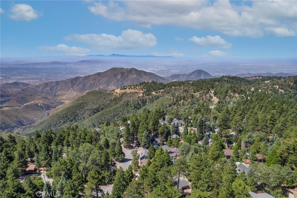 31472 Panorama Drive Property Photo 43