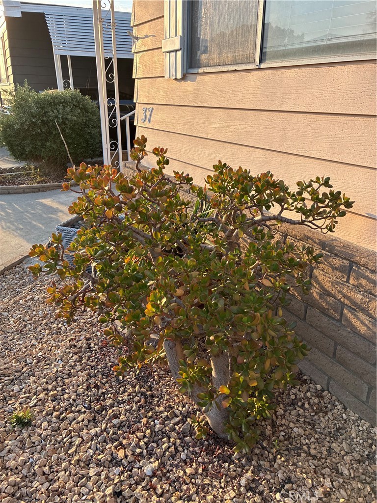 6741 Lincoln Avenue 37 Property Photo 57