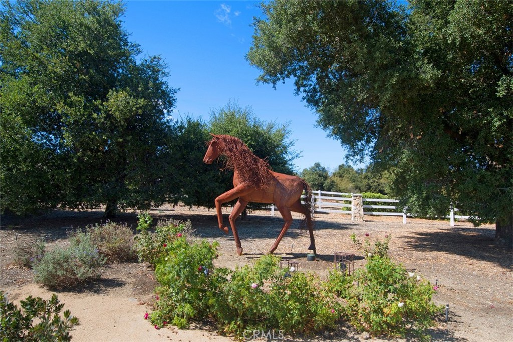 36690 Calle De Lobo Property Photo 63