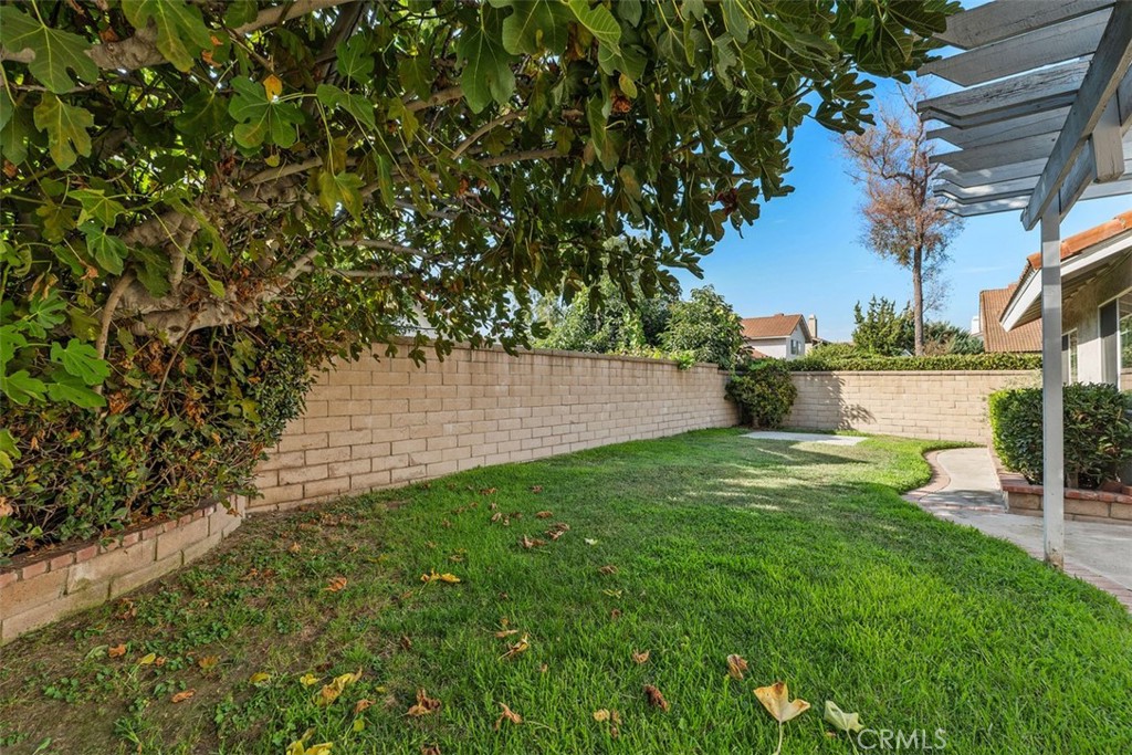 16 Duane Property Photo 19