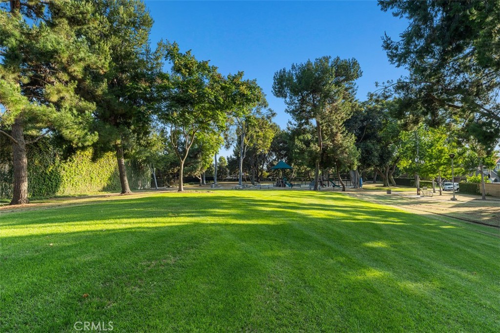 16 Duane Property Photo 38