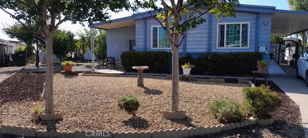 26031 Kentia Palm Property Photo 1