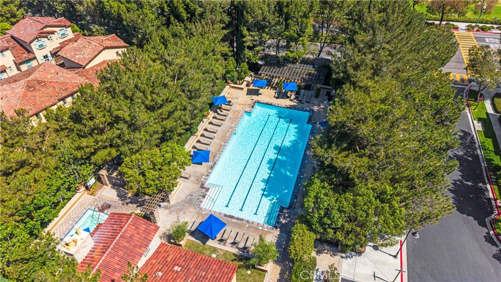 118 Coral Rose Property Photo 42