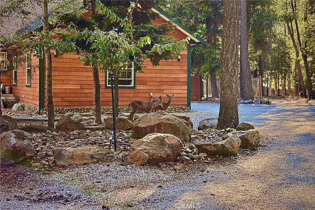 34643 Emigrant Trail Property Photo 6