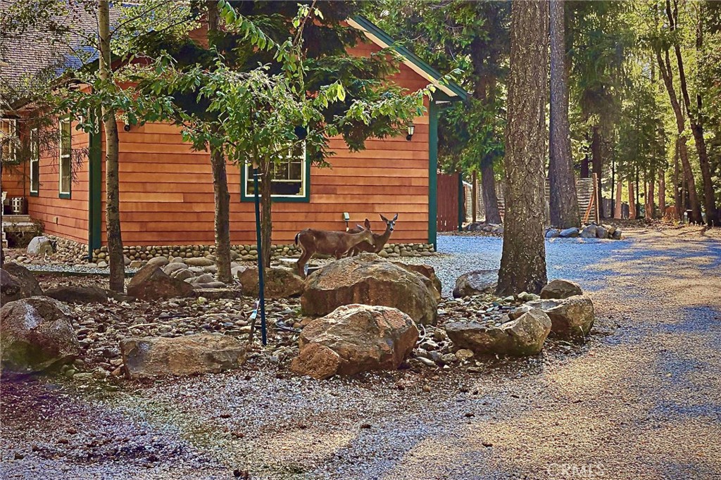 34643 Emigrant Trail Property Photo 6