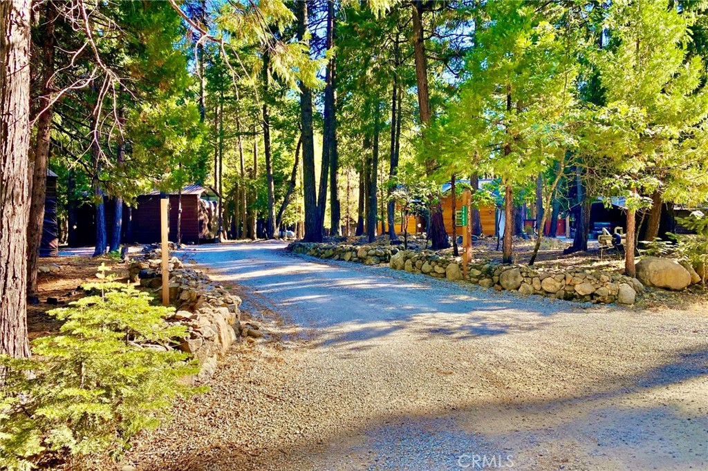 34643 Emigrant Trail Property Photo 40