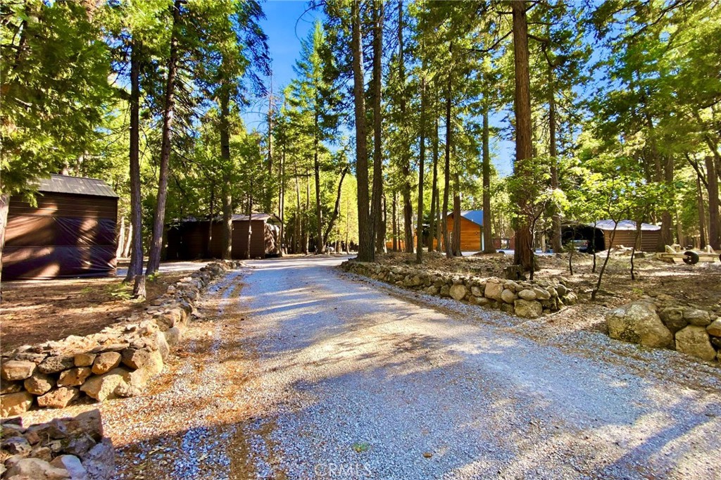 34643 Emigrant Trail Property Photo 41