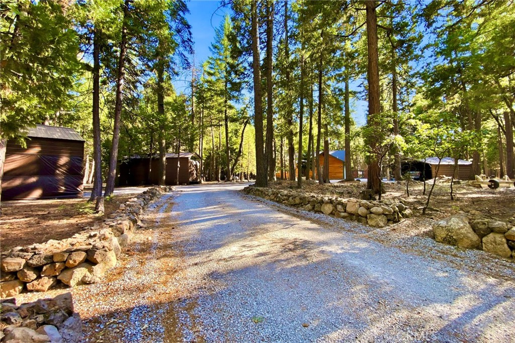 34643 Emigrant Trail Property Photo 41
