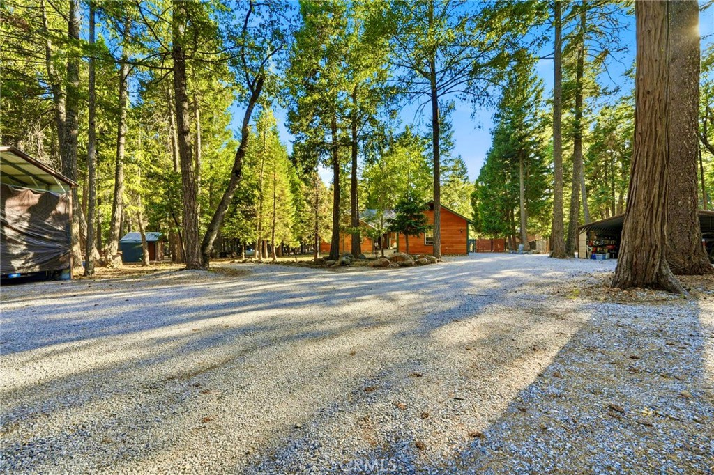 34643 Emigrant Trail Property Photo 42
